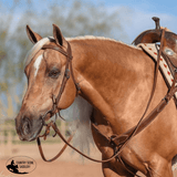 Billy Royal® Oiled Hermann Oak Leather Browband Headstall - Country Scene Saddlery and Pet Supplies