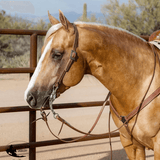 Billy Royal® Oiled Hermann Oak Split Ear Headstall with Etched Buckle - Country Scene Saddlery and Pet Supplies