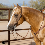 Billy Royal® Oiled Hermann Oak Split Ear Headstall With Etched Buckle Western Bridle