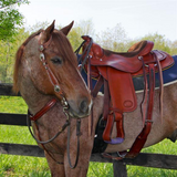 Billy Royal® Ranch Horse Pleasure Saddle - Country Scene Saddlery and Pet Supplies