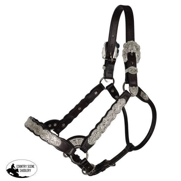 Billy Royal® Scalloped Silver Western Horse Show Halter Show Western Halter