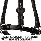New! Billy Royal® Scalloped Silver Western Horse Show Halter - Country Scene Saddlery and Pet Supplies