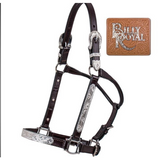 New! Billy Royal® Stella Fitted Show (Pre Orders) Halter