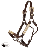 Billy Royal® Sterling Silver Overlay Roxy Silver Show Halter with Lead - Country Scene Saddlery and Pet Supplies