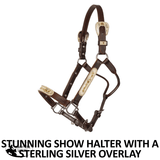 Billy Royal® Sterling Silver Overlay Roxy Silver Show Halter with Lead - Country Scene Saddlery and Pet Supplies