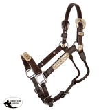Billy Royal® Sterling Silver Overlay Sheila Silver Show Halter with Lead - Country Scene Saddlery and Pet Supplies