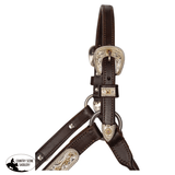 Billy Royal® Sterling Silver Overlay Sheila Silver Show Halter with Lead - Country Scene Saddlery and Pet Supplies