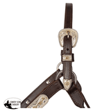 Billy Royal® Sterling Silver Overlay Sheila Silver Show Halter with Lead - Country Scene Saddlery and Pet Supplies