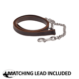 Billy Royal® Sterling Silver Overlay Sheila Silver Show Halter with Lead - Country Scene Saddlery and Pet Supplies