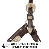 Billy Royal® Sterling Silver Overlay Sheila Silver Show Halter with Lead - Country Scene Saddlery and Pet Supplies