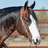 Billy Royal Rolled One Ear Headstall - Country Scene Saddlery and Pet Supplies