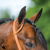 Billy Royal Rolled One Ear Headstall - Country Scene Saddlery and Pet Supplies