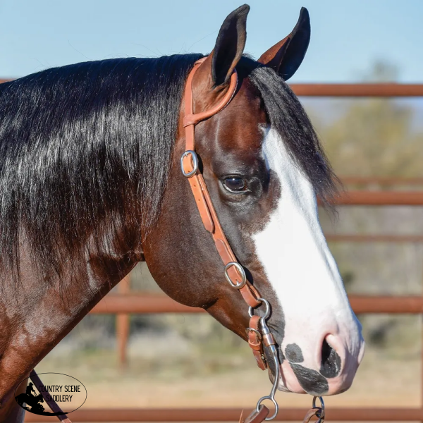 Billy Royal Rolled One Ear Headstall Western Bridle
