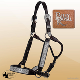 Billy Royal SP Rio Grande Show Halter ~ - Country Scene Saddlery and Pet Supplies