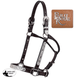 Billy Royal Stella Fitted Show Halter for Horses - Country Scene Saddlery and Pet Supplies
