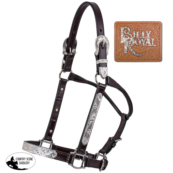 Billy Royal Stella Fitted Show Halter For Horses Halters