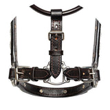 Billy Royal® Blue Scallop Fitted Silver Halter - Country Scene Saddlery and Pet Supplies