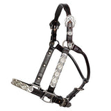 Billy Royal® Blue Scallop Fitted Silver Halter - Country Scene Saddlery and Pet Supplies