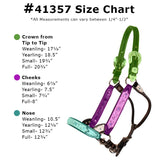 Billy Royal® Dark Side Silver Fitted Show Halter - Country Scene Saddlery and Pet Supplies