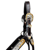 New! Billy Royal® Gold Standard Fitted Show Halter - Country Scene Saddlery and Pet Supplies