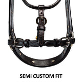 New! Billy Royal® Gold Standard Fitted Show Halter - Country Scene Saddlery and Pet Supplies