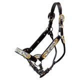New! Billy Royal® Gold Standard Fitted Show Halter - Country Scene Saddlery and Pet Supplies
