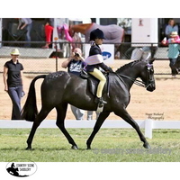 New! Black False Tails Posted* From Horse