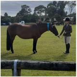 Black False Tails - Horse Tails