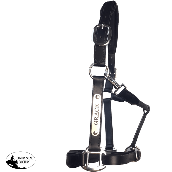 New! Black Leather Halter - Patent Piping With Engraved Horse Nameplate Hamag Saddle Cloth Number