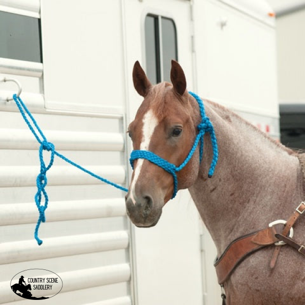 Braided Rope Halter With Lead Leg Protection