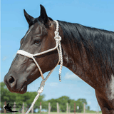 NEW! Cashel Flat Braid Rope Halter & Lead 9′ - Country Scene Saddlery and Pet Supplies