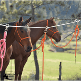 NEW! Cashel High Line Swivel - Country Scene Saddlery and Pet Supplies