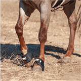 New! Cashel No Turn Bell Boots- Black - Country Scene Saddlery and Pet Supplies