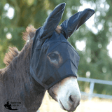 New! Cashel Quiet Ride Fly Mask – Mule – Standard with Ears - Country Scene Saddlery and Pet Supplies