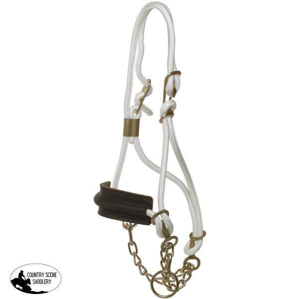 Cattle Breaking-In Halter with Leather Noseband - Country Scene Saddlery and Pet Supplies