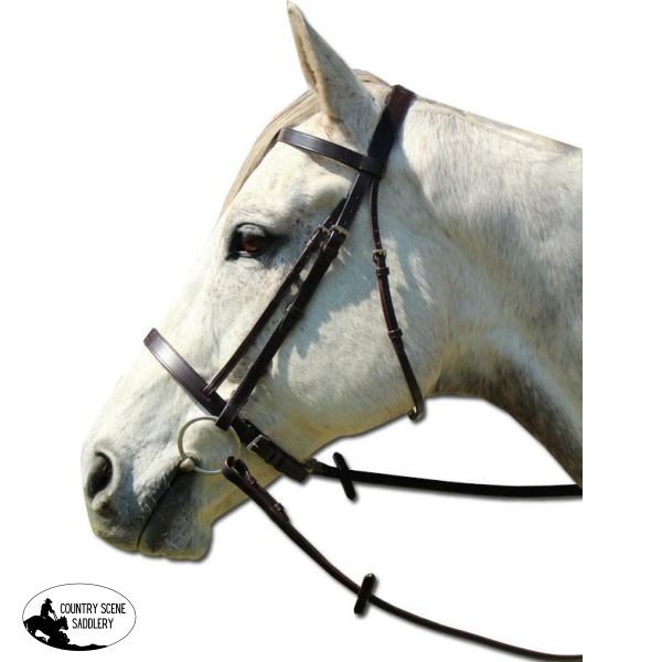 New! Champion Show Snaffle Posted.*