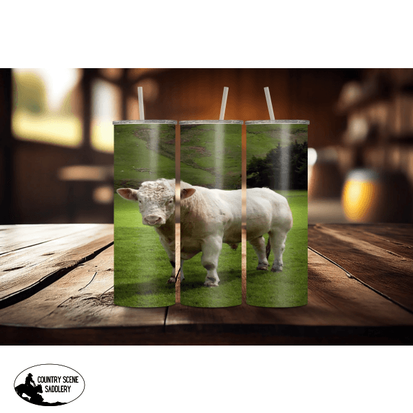 Charolais Tumbler Giftware