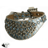 New! Chelsea Wide Dog Collar Posted.*
