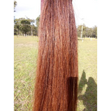 Chestnut False Tails - Country Scene Saddlery and Pet Supplies