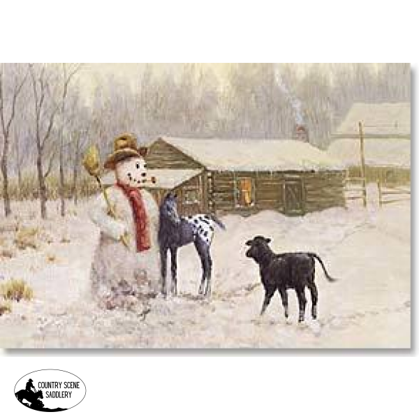Christmas Card Cb - Appaloosa Foal Gift Cards