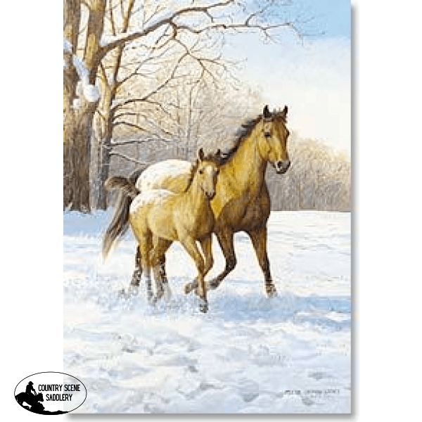 Christmas Card Cb- Appaloosa Mare & Foal Gift Cards