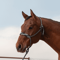 Classic Equine Braided Rope Halter With Lead Horse Halters