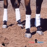 New! Classic Equine Polo Wraps - Country Scene Saddlery and Pet Supplies