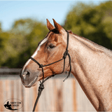 New! Classic Equine Premium Rope Halter - Country Scene Saddlery and Pet Supplies
