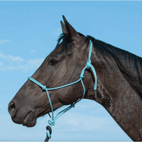 Classic Equine Premium Rope Halter Stable