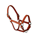 NEW! Syd Hill Cooroy Track Halter - Country Scene Saddlery and Pet Supplies