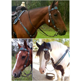 CSS Blue Diamond Inlay Tackset- Chocolate Leather - Country Scene Saddlery and Pet Supplies