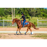 CSS Blue Feathers Boots. - Country Scene Saddlery and Pet Supplies