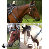 CSS Blue Glitter Bling Inlay Breastcollar and Headstall Sets - Country Scene Saddlery and Pet Supplies