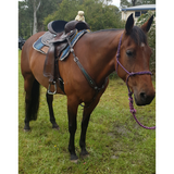 CSS Chocolate with turquoise bling detail and tooling. - Country Scene Saddlery and Pet Supplies